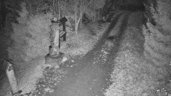 Snímek 9.11.2025 v 06:00