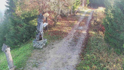 Bílá - běžecká trať