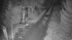 Bílá - běžecká trať