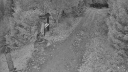 Bílá - běžecká trať