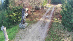 Bílá - běžecká trať