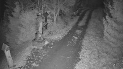 Bílá - běžecká trať