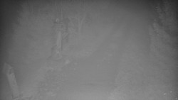 Bílá - běžecká trať