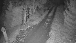 Bílá - běžecká trať