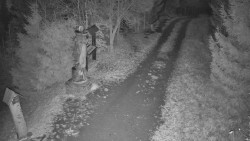 Bílá - běžecká trať