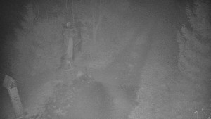 Skiareál Bílá - Bílá - běžecká trať - 14.11.2025 v 00:30 Skiareál Bílá - Bílá - běžecká trať - 14.11.2025 v 00:30