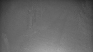 Skiareál Bílá - Bílá - běžecká trať - 14.11.2025 v 01:00 Skiareál Bílá - Bílá - běžecká trať - 14.11.2025 v 01:00