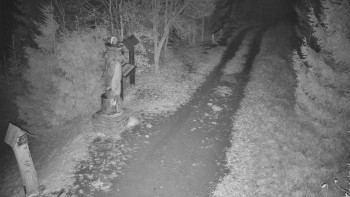 Snímek 14.11.2025 v 03:00