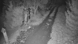 Skiareál Bílá - Bílá - běžecká trať - 14.11.2025 v 04:00 Skiareál Bílá - Bílá - běžecká trať - 14.11.2025 v 04:00