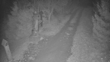 Snímek 14.11.2025 v 06:00