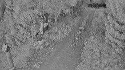 Bílá - běžecká trať