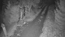 Bílá - běžecká trať