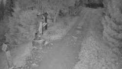 Bílá - běžecká trať