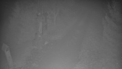 Bílá - běžecká trať