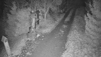 Snímek 15.11.2025 v 22:30