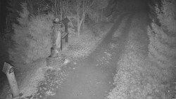 Bílá - běžecká trať