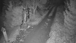 Bílá - běžecká trať