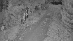 Bílá - běžecká trať