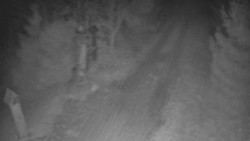 Bílá - běžecká trať