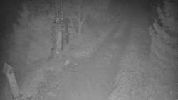 Bílá - běžecká trať