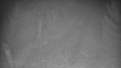 Bílá - běžecká trať