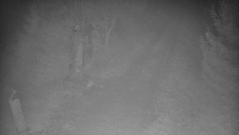 Snímek 17.11.2025 v 05:00