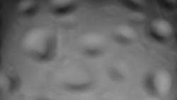 Bílá - běžecká trať