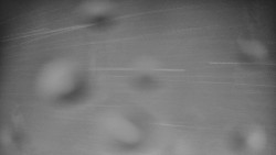 Bílá - běžecká trať