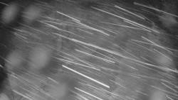 Bílá - běžecká trať