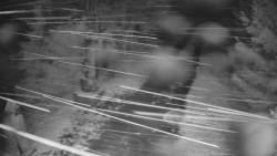 Bílá - běžecká trať