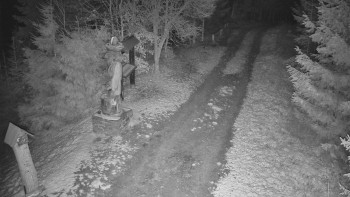 Snímek 19.11.2025 v 04:30