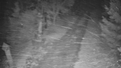 Bílá - běžecká trať