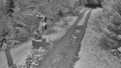 Bílá - běžecká trať