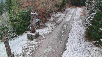 Snímek 20.11.2025 v 09:00