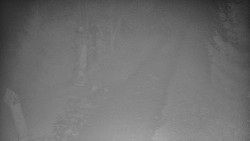 Bílá - běžecká trať