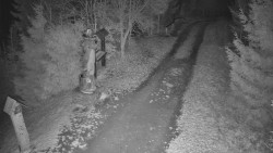 Bílá - běžecká trať