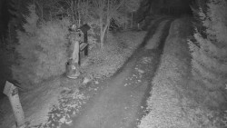 Bílá - běžecká trať