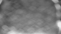 Bílá - běžecká trať