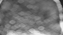 Bílá - běžecká trať