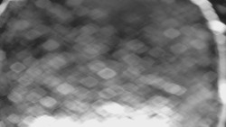 Bílá - běžecká trať