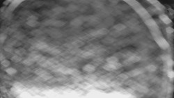 Bílá - běžecká trať