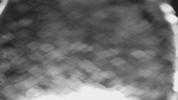 Bílá - běžecká trať