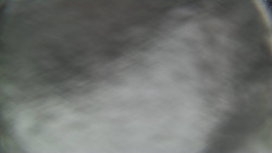 Bílá - běžecká trať