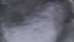 Bílá - běžecká trať