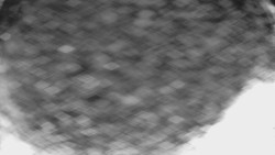 Bílá - běžecká trať