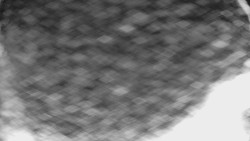 Bílá - běžecká trať