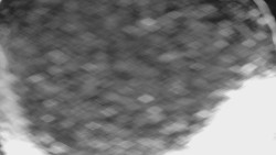 Bílá - běžecká trať