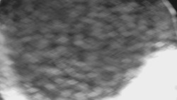 Bílá - běžecká trať