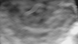 Bílá - běžecká trať