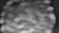 Bílá - běžecká trať